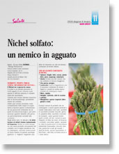 Linea - Nichel solfato: un nemico in agguato