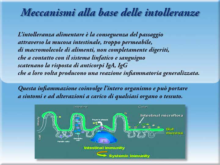 Linea - Intolleranze alimentari